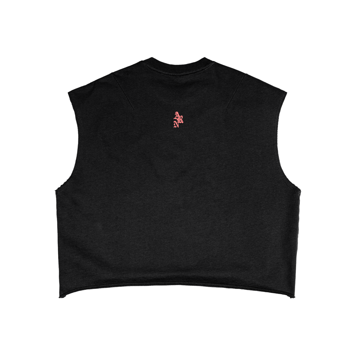 "A Rich Nobody" Crop Tank Top