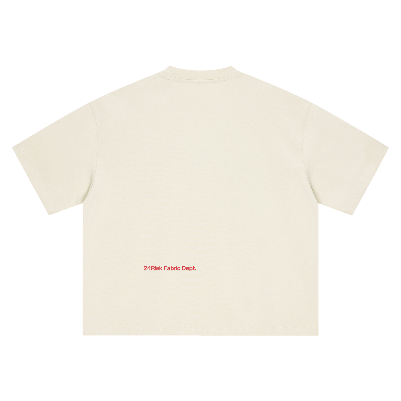 "A Rich Nobody" Embroidered Oversized T-Shirt – Heavy Cotton Streetwear Tee